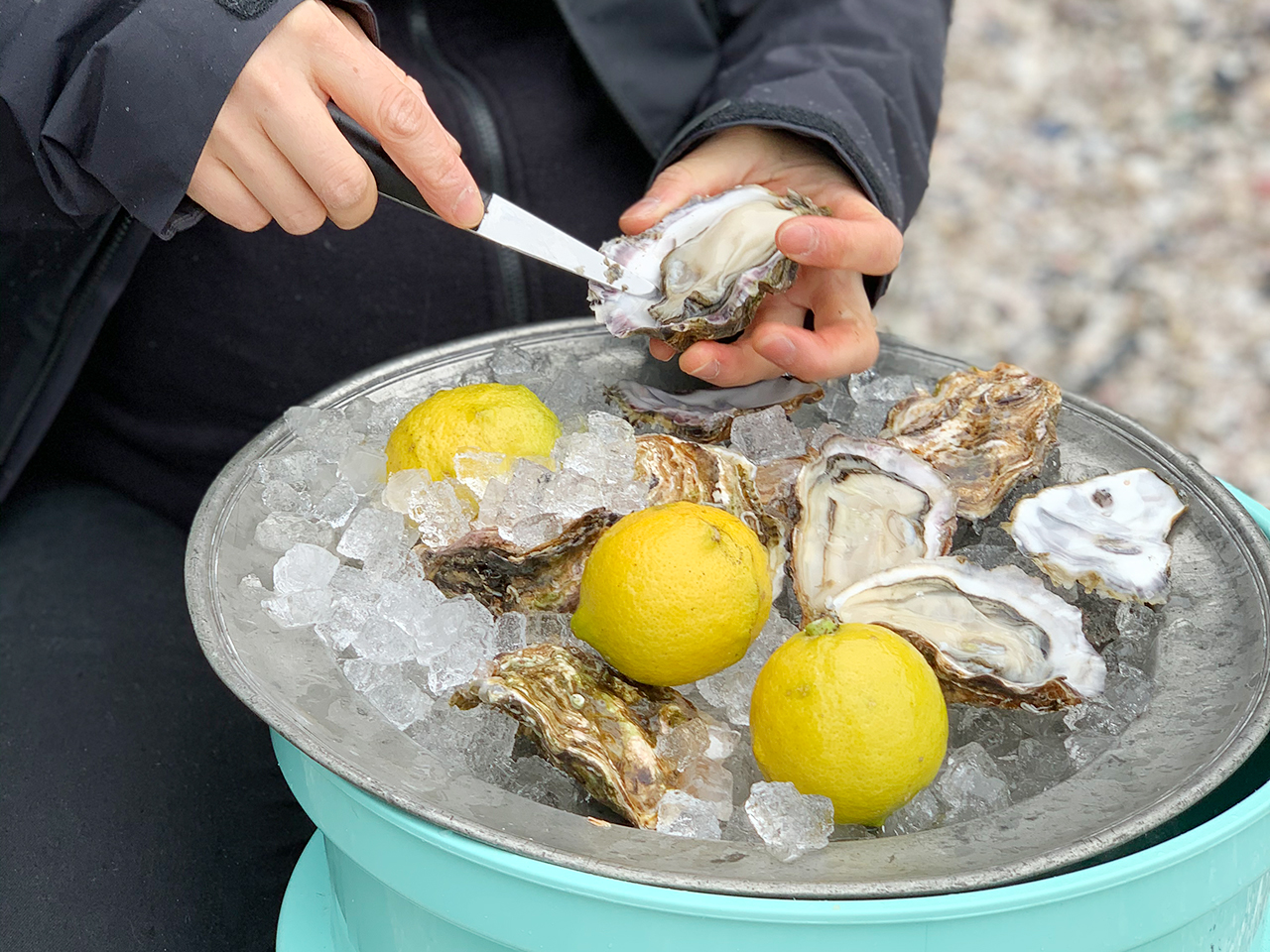 ���ڲ������������ɥ�å���